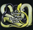 Le Grand Popo Football Club Venom In The Grass Формат: Audio CD (DigiPack) Дистрибьюторы: Wagram Music, Концерн "Группа Союз" Европейский Союз Лицензионные товары инфо 6893y.