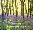 Virginia Astley From Gardens Where We Feel Secure Формат: Audio CD (DigiPack) Дистрибьюторы: Rough Trade Records, Концерн "Группа Союз" Европейский Союз Лицензионные товары инфо 1264p.
